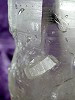 Lemurian ExLarge Bridge SML