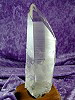 Lemurian ExLarge SideRight SML