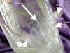 Lemurian ExLarge features SML