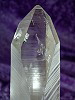 Lemurian ExLge MainFace SML