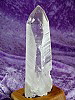 Lemurian ExLge Whole SML