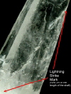 Lightning Strike Starbrary Quartz