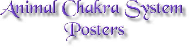 Animal Chakra System Posters, Cat, Dog & Horse Chakra System Posters