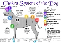 Chakra System of the Dog