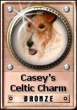 Casey's Celtic Charm Award