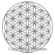 Flower of Life