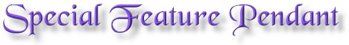 Special Feature Pendant