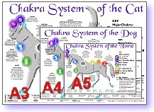 Animal Chakra System, Horse, Dog & Cat - new poster sizes available: A3, A4 & A5